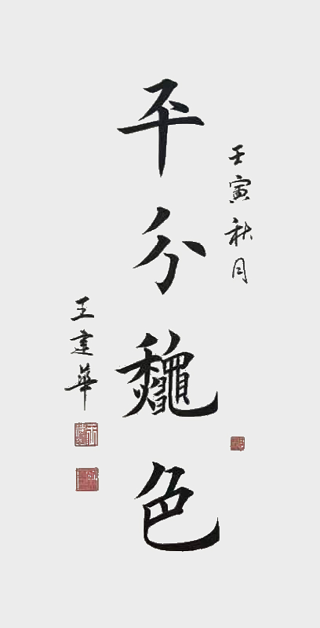 王建华作品 (16)